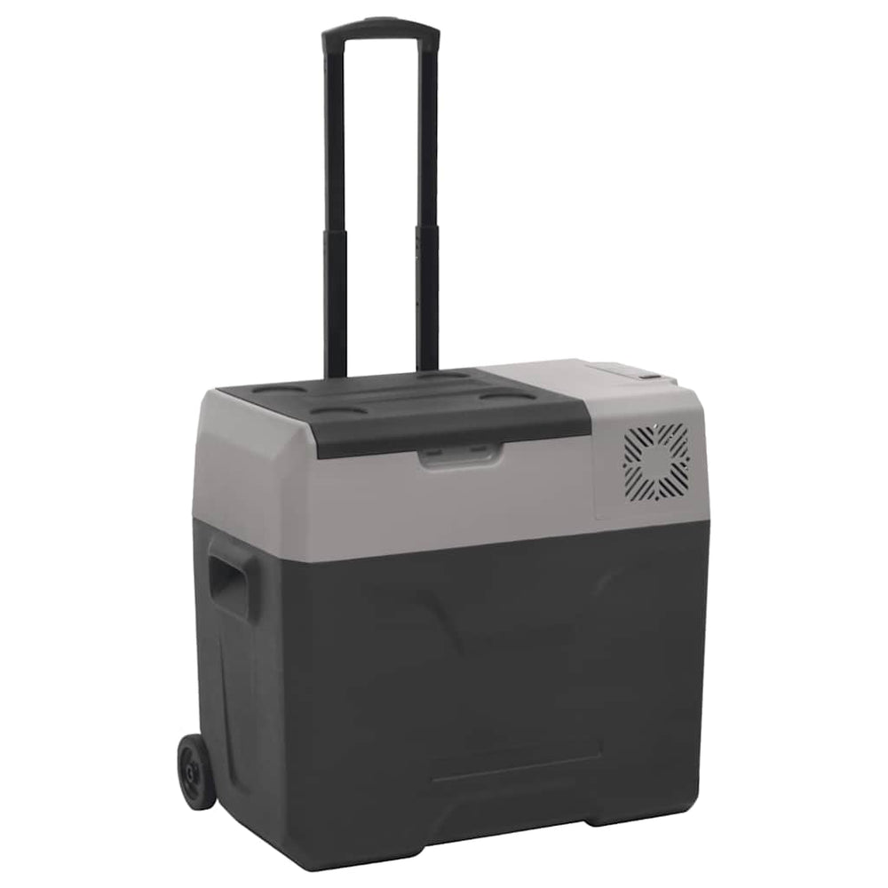 Kühlbox mit Rollen 40L, Schwarz & Grau