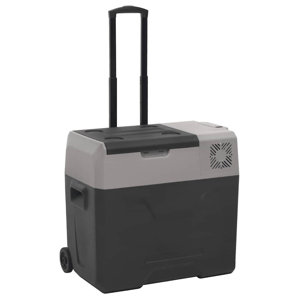Kühlbox mit Rollen 40L, Schwarz & Grau