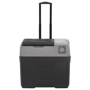 Kühlbox mit Rollen 40L, Schwarz & Grau