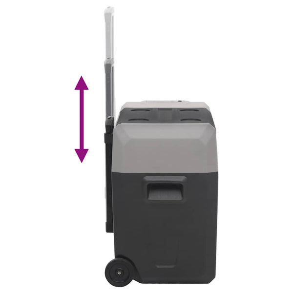 Kühlbox mit Rollen 40L, Schwarz & Grau
