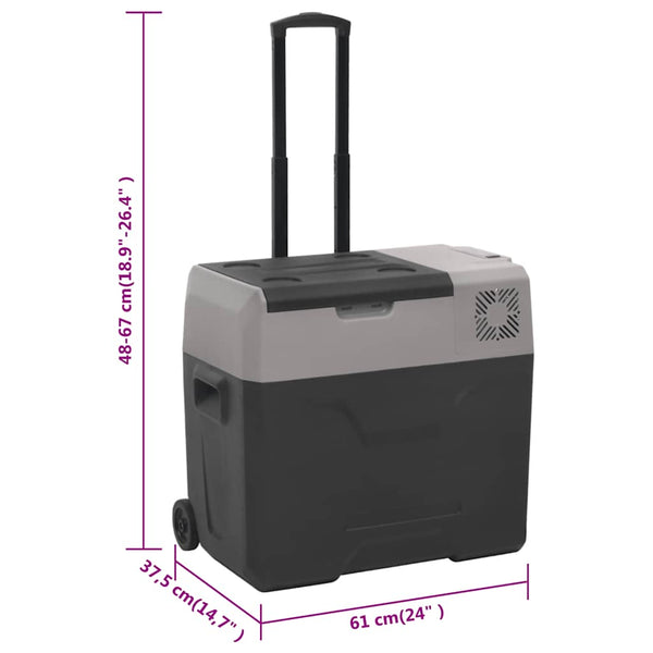 Kühlbox mit Rollen 40L, Schwarz & Grau