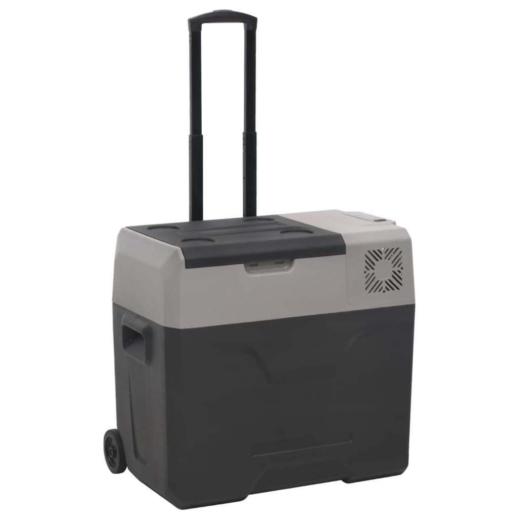 Kühlbox mit Rollen 50L Schwarz & Grau