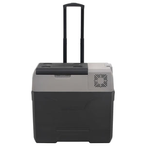 Kühlbox mit Rollen 50L Schwarz & Grau