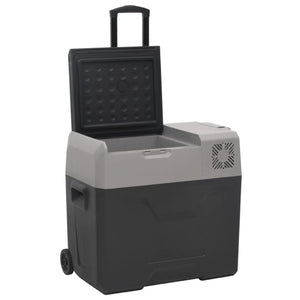 Kühlbox mit Rollen 50L Schwarz & Grau