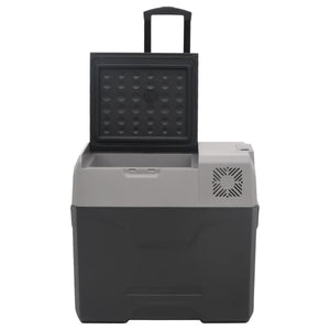 Kühlbox mit Rollen 50L Schwarz & Grau