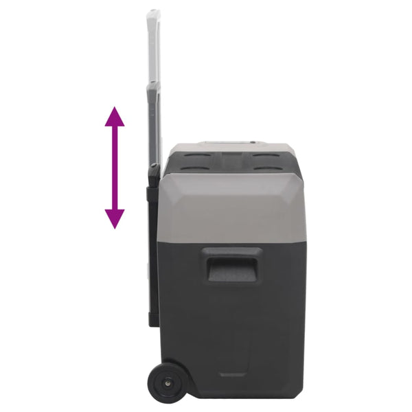 Kühlbox mit Rollen 50L Schwarz & Grau