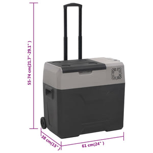 Kühlbox mit Rollen 50L Schwarz & Grau