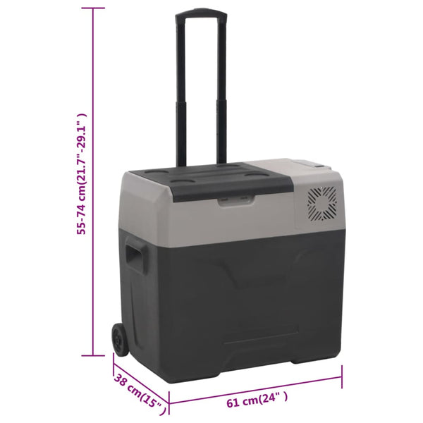 Kühlbox mit Rollen 50L Schwarz & Grau