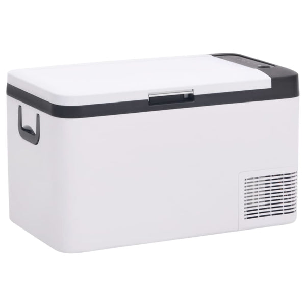 vidaXL Cooler with Handle and Adapter Black and White 25 L PP & PE