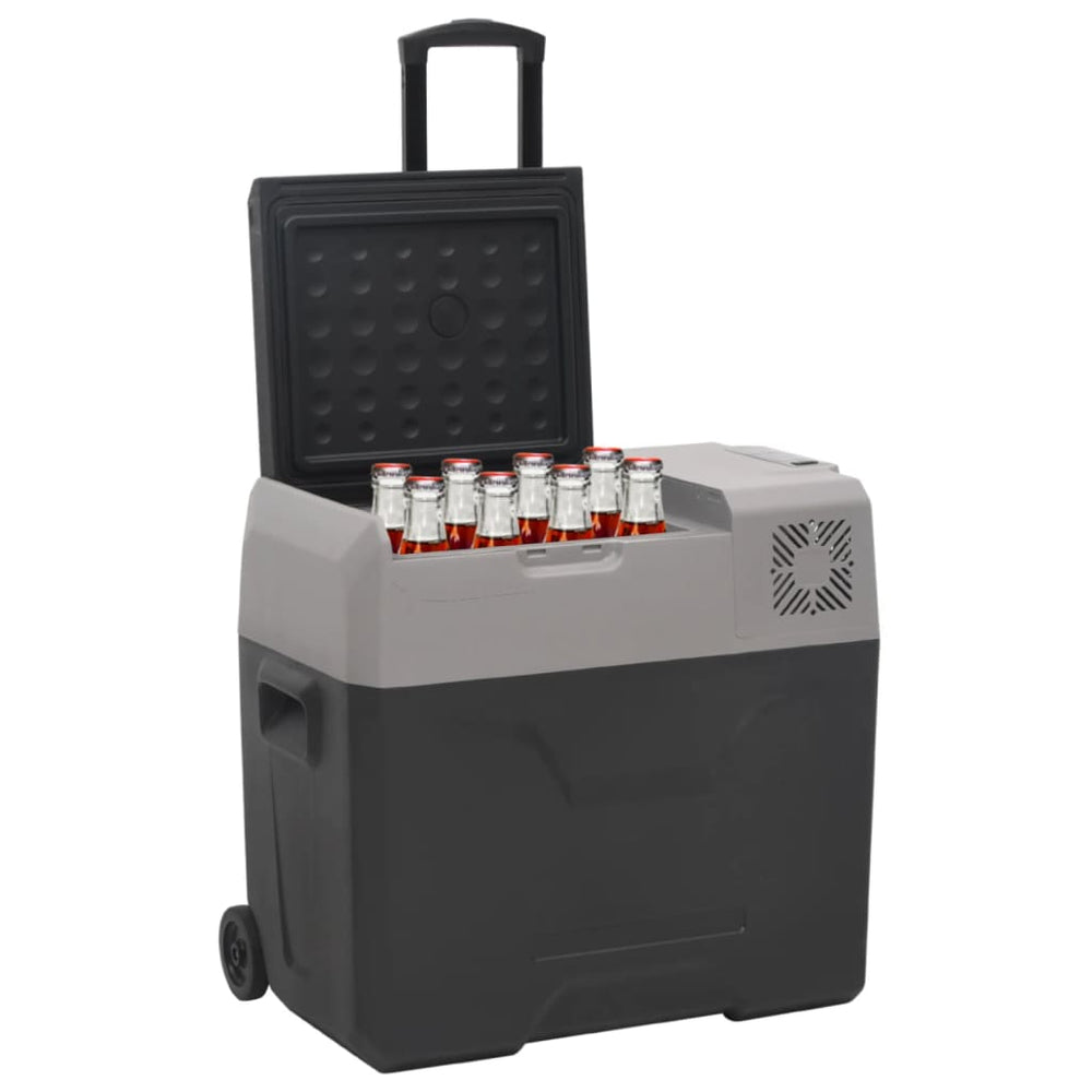 vidaXL Cooler with Wheels and Adapter Black & Gray 50 L Polypropylene