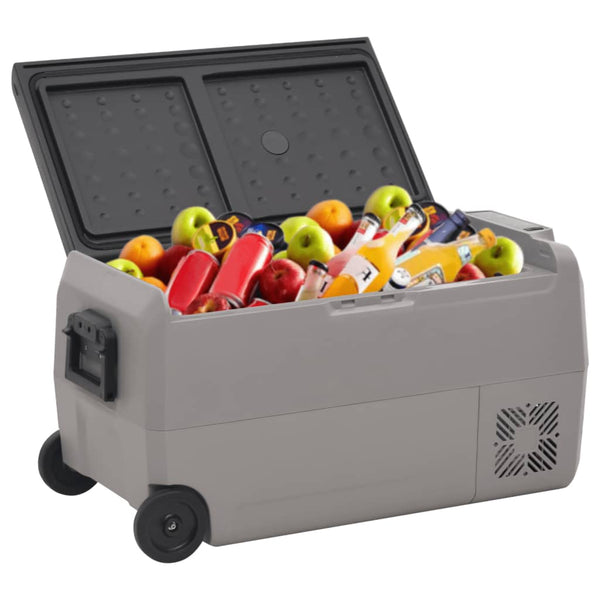 vidaXL Cooler with Wheels and Adapter Black & Grey 50 L PP & PE