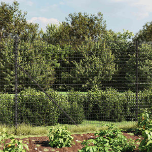 vidaXL Chain Link Fence with Ground Spikes Anthracite 2x10 m