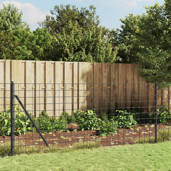 vidaXL Chain Link Fence with Ground Sockets Anthracite 1x25 m