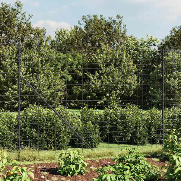 vidaXL Chain Link Fence with Ground Sockets Anthracite 1.6x25 m