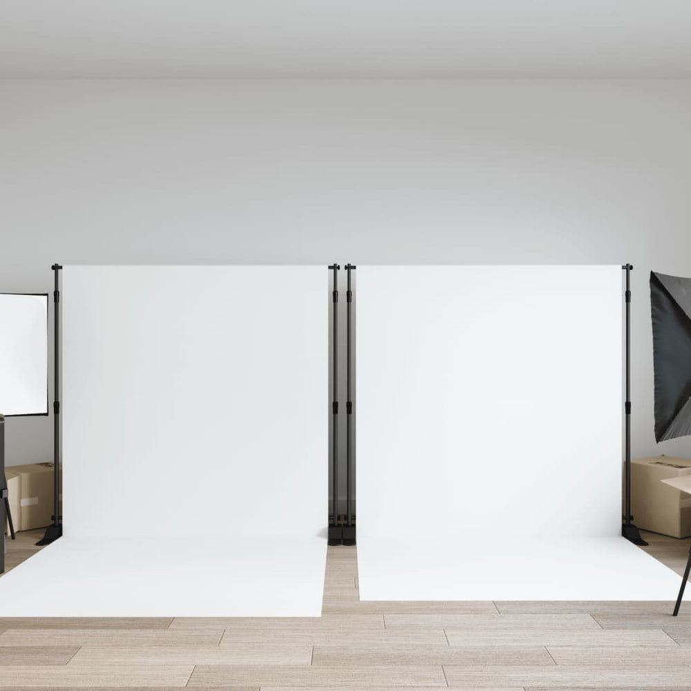 vidaXL Background Stands 2 pcs Black 254x243 cm Steel