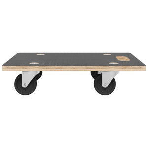vidaXL Transport Dolly 2 pcs. Rectangular 50x35x11.5 cm 250 kg