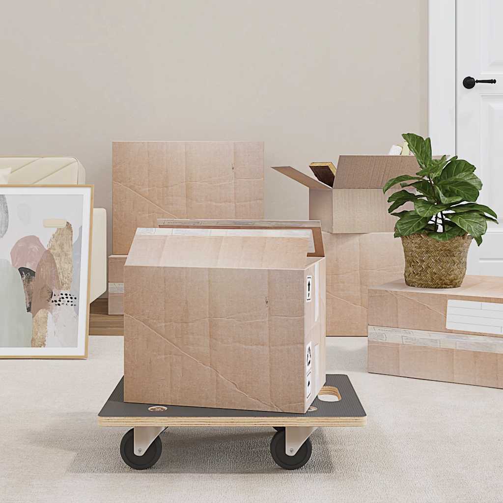 vidaXL Transport Dolly 2 pcs. Rectangular 50x35x11.5 cm 250 kg