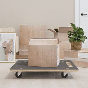 vidaXL Dolly 2 pcs Rectangular 80x55x11.5 cm 250 kg