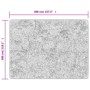 vidaXL Washable Rug Grey 400x300 cm