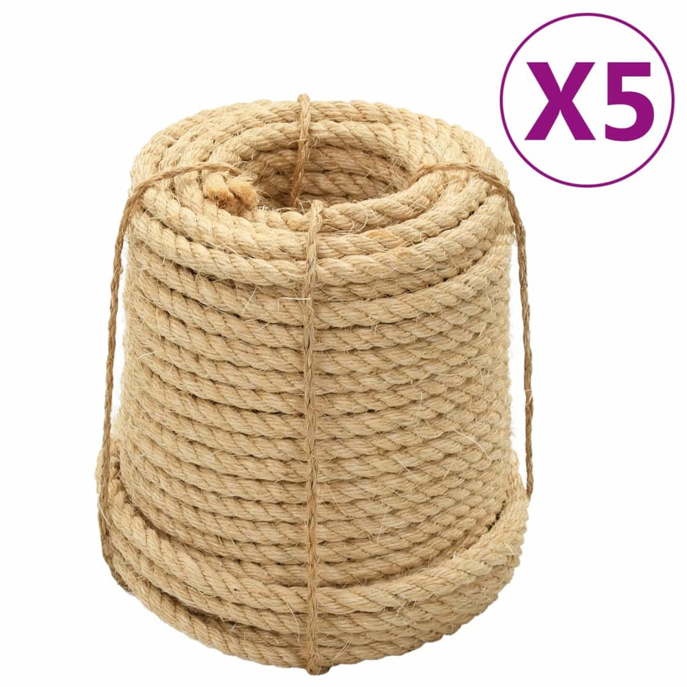 vidaXL Sisal Ropes 5 pcs. 20 mm 100 m