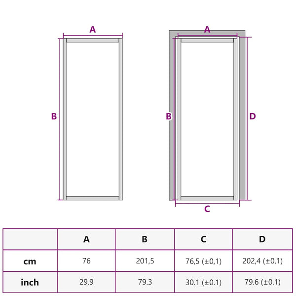 vidaXL Slim Black Indoor Door 76x201.5 cm Tempered Glass and Aluminum