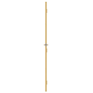 vidaXL Slim Interior Door Golden 76x201.5 cm Tempered Glass and Aluminum