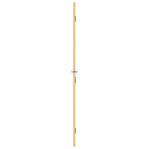 vidaXL Slim Interior Door Golden 93x201.5 cm Tempered Glass and Aluminum