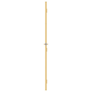 vidaXL Slim Indoor Door Golden 83x201.5 cm Tempered Glass and Aluminum