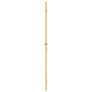 vidaXL Interior Door Slim Golden 102.5x201.5 cm Tempered Glass and Aluminum