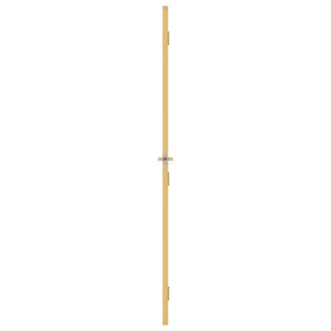 vidaXL Slim Interior Door Golden 76x201.5 cm Tempered Glass and Aluminum