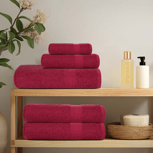 vidaXL Washcloths FROGN 10 pcs. Burgundy 30x30 cm 360 g/m²
