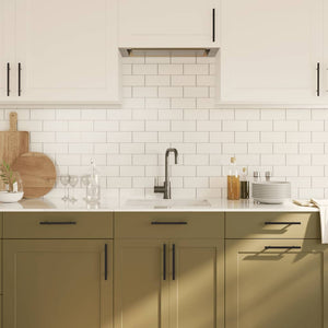 vidaXL Furniture Handles 10 pcs. Black 128 mm Stainless Steel