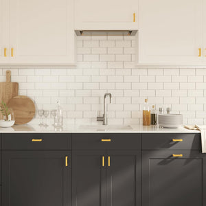 vidaXL Furniture Handles 10 pcs. Golden 64 mm Stainless Steel
