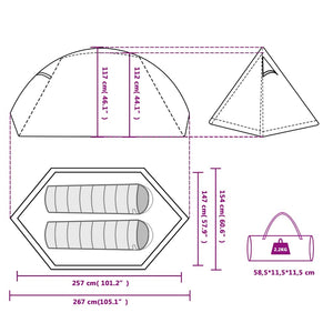 vidaXL Dome Camping Tent 2 Person Green Waterproof