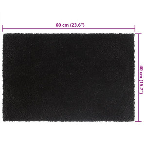 vidaXL Doormats 5 pcs. Black 40x60 cm Coir Tufted