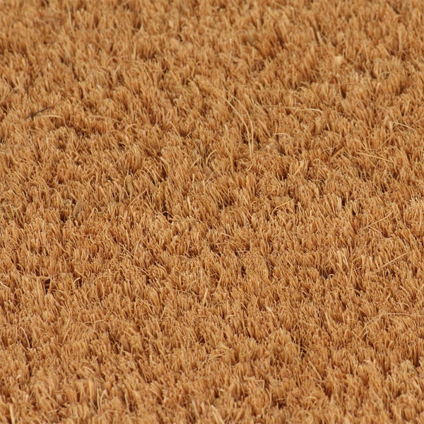 vidaXL Doormats 5 pcs. Natural 40x60 cm Coir Tufted