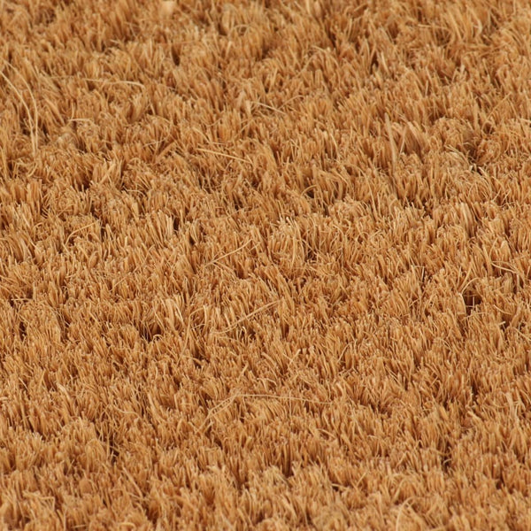 vidaXL Doormat Natural 60x90 cm Coir Tufted