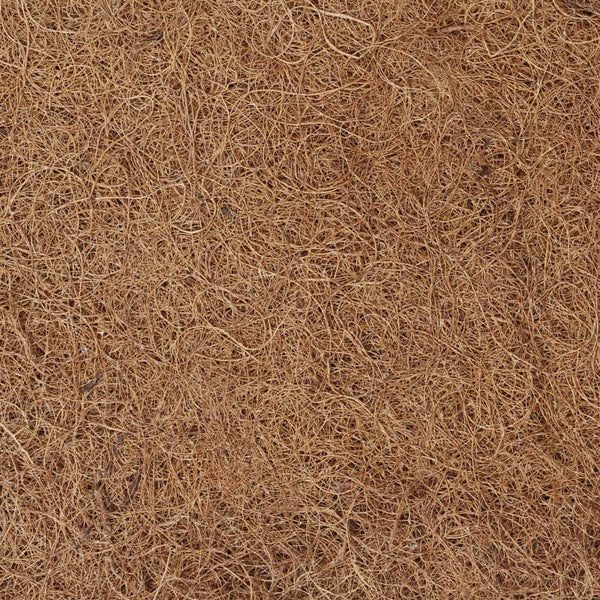 vidaXL Mattress Topper 70x200 cm Coconut Fibers