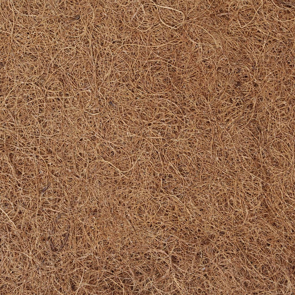 vidaXL Mattress Topper 80x200 cm Coconut Fibers