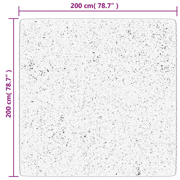 Anthrazit Teppich Kurzflor 200x200 cm
