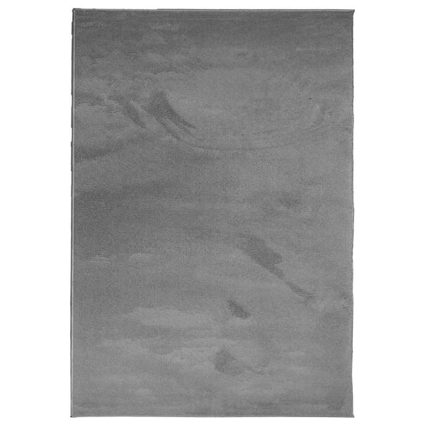 Anthrazit Teppich Kurzflor 200x280 cm