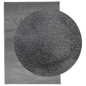 Anthrazit Teppich Kurzflor 200x280 cm