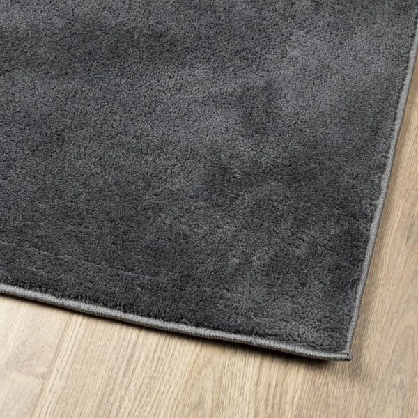 Anthrazit Teppich Kurzflor 200x280 cm
