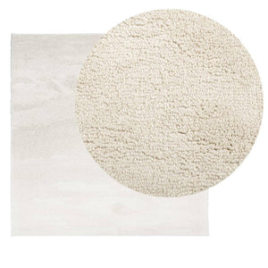 Beiger Kurzflor Teppich OVIEDO 120x120 cm