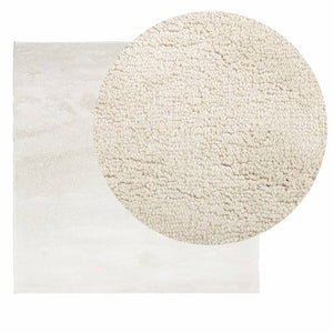 Beiger Kurzflor Teppich 240x240 cm