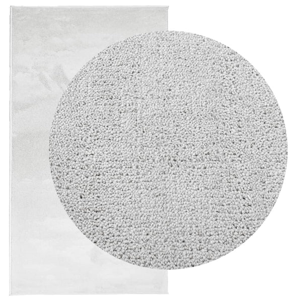 Grauer Kurzflor Teppich OVIEDO 60x110 cm