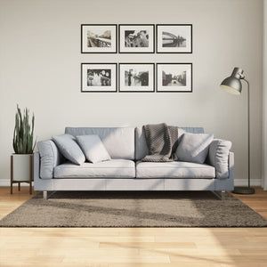 Hochflor Teppich ISTAN Grau 120x170 cm