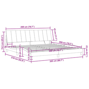 vidaXL LED Bed Frame without Mattress "Hanko" Dark Grey 200x200 cm Velvet