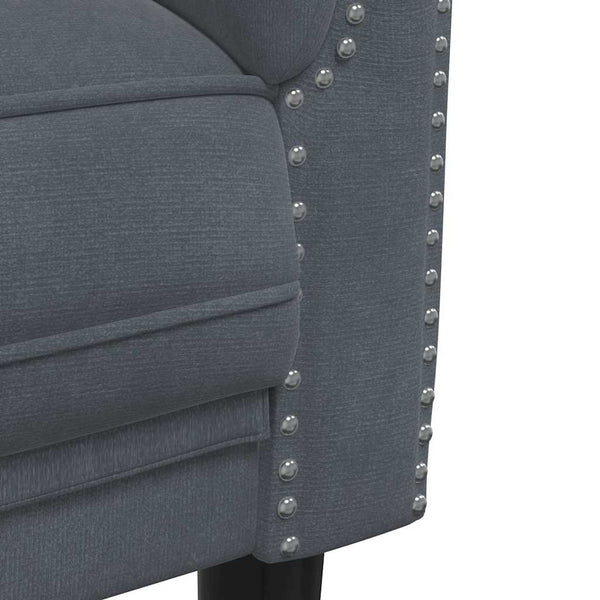 vidaXL 2-Seater Sofa Dark Grey Velvet