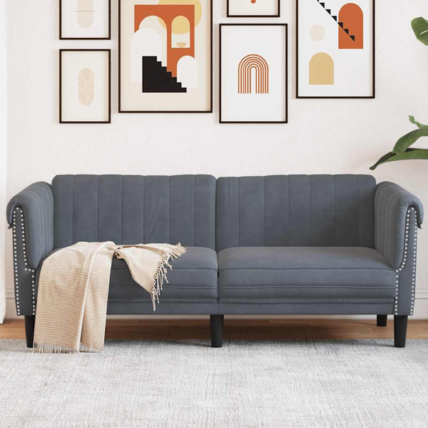 vidaXL 2-Seater Sofa Dark Grey Velvet